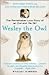 Wesley the Owl