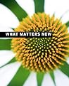 What Matters Now