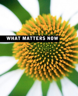 What Matters Now (ebook)