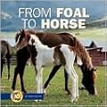 From Foal to Horse