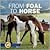 From Foal to Horse