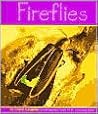Fireflies (Insects)
