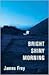 Bright Shiny Morning by James Frey