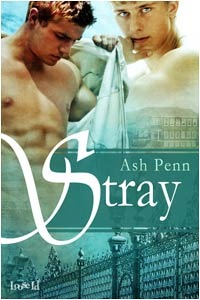 Stray (Kindle Edition)