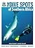 The Dive Spots of Southern Africa