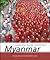 Dictatorship, Disorder and Decline in Myanmar