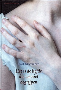 Het is de liefde die we niet begrijpen (Hardcover)