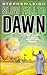 Slow Fall to Dawn