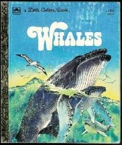 Whales (a Little Golden Book)