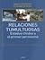 Relaciones Tumultuosas, Estados Unidos y el primer peronismo. by Mario Rapoport