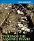 Pieces of the Vanuatu Puzzle: Archaeology of the North, South and Centre (Terra Australis, # 23).