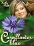 Cornflower Blue