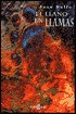 El Llano en llamas