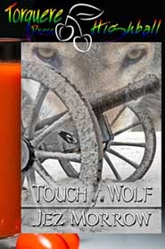 Touch of a Wolf (ebook)