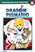 Dragon Pigmario Vol. 6