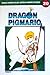 Dragon Pigmario Vol. 20