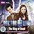 Doctor Who: The Ring of Steel