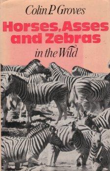 Horses, asses and zebras in the wild