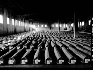 Srebrenica (Hardcover)