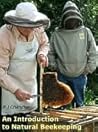 An Introduction to Natural Beekeeping