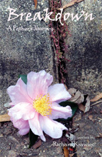 Breakdown: A Father's Journey