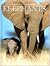 Elephants (Snapshot Picture Library)