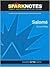 Salome (SparkNotes Literature Guide Series)