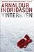 Vinterbyen (En Erlendur Sveinsson-krimi, #5)