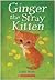 Ginger the Stray Kitten