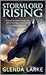 Stormlord Rising (Watergivers, #2)