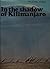 In the shadow of Kilimanjaro