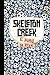Skeleton Creek (Skeleton Creek, #1)