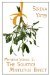 The Solstice Mistletoe Effect (Mistletoe Science, #2)