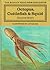 Octopus, Cuttlefish and Squid (Mcgraw-hill New Biology)