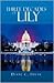 THREE DECADES OF LILY