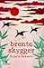 Brente skygger by Kamila Shamsie