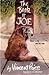 The Book of Joe