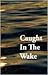 Caught in the Wake: A story of murder and denial