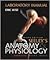 Seeley's Anatomy & Physiology--Laboratory Manual by Cinnamon VanPutte