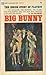 Big Bunny