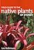 Field Guide to the Native Plants of Sydney by Les Robinson