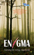 Enigma (Paperback)