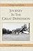 Journey in the Great Depression by John Lifflander