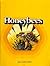Honeybees (Books for young explorers)