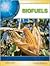 Biofuels (Energy Today)