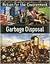 Garbage Disposal (ACTION FOR THE ENVIRONMENT)