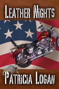Leather Nights (Armadillo, #1)