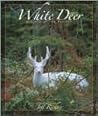 WHITE DEER GHOSTS OF THE FOREST WHITE DEER GHOSTS OF THE FOREST