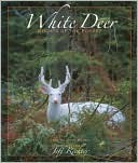 WHITE DEER GHOSTS OF THE FOREST (Hardcover)