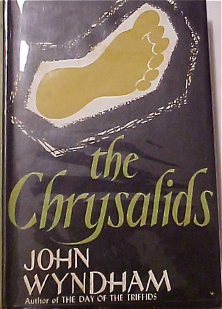 The chrysalids